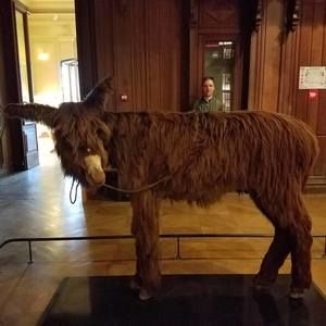 Meet your Posher, Michael